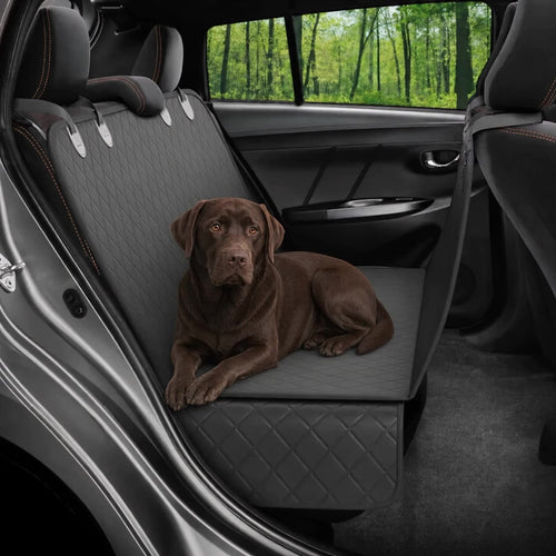 A Black bench-style cover — Labrador in a parked car